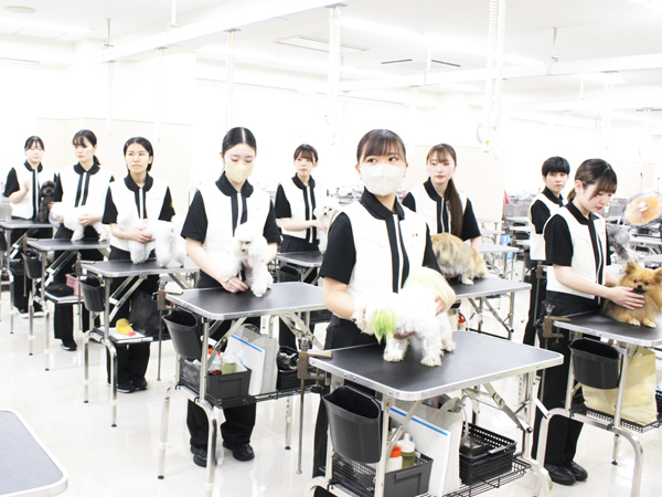 トリミング実習は準備が大切！